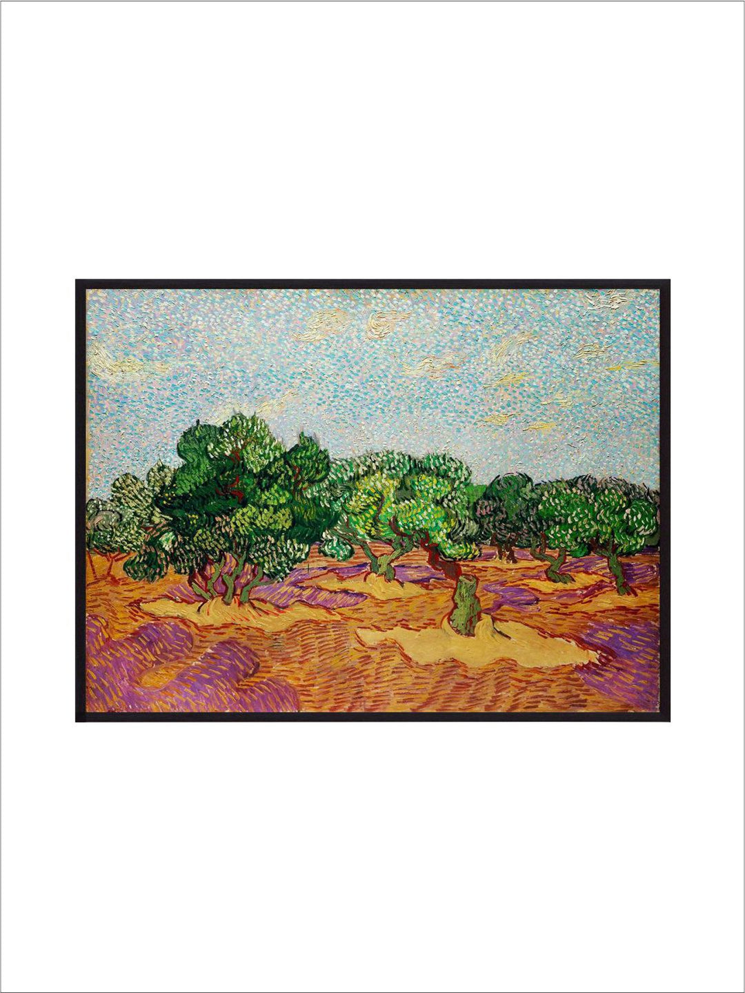 "Olive Trees By Van Gogh Framed Wall Painting''