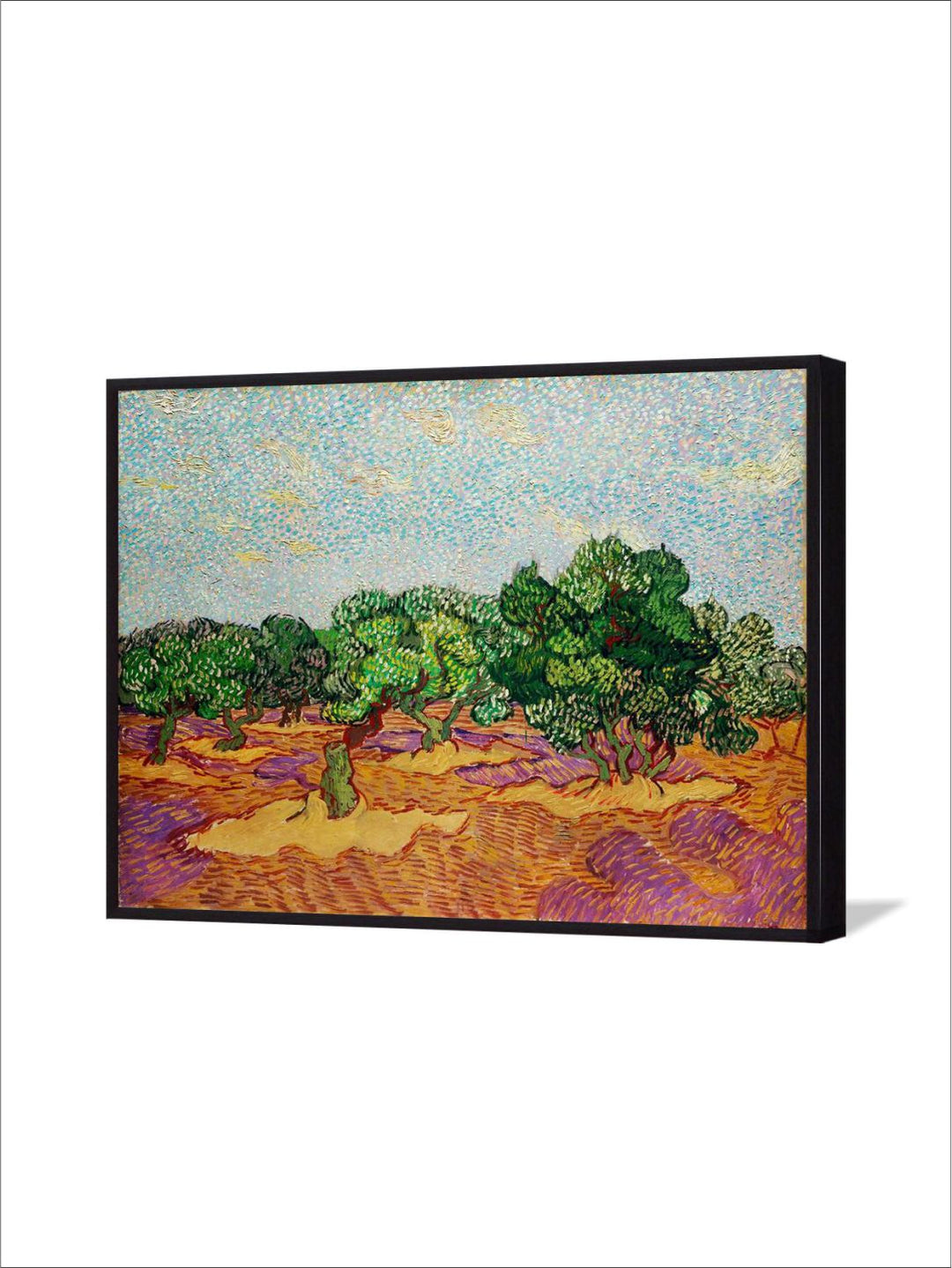 "Olive Trees By Van Gogh Framed Wall Painting''