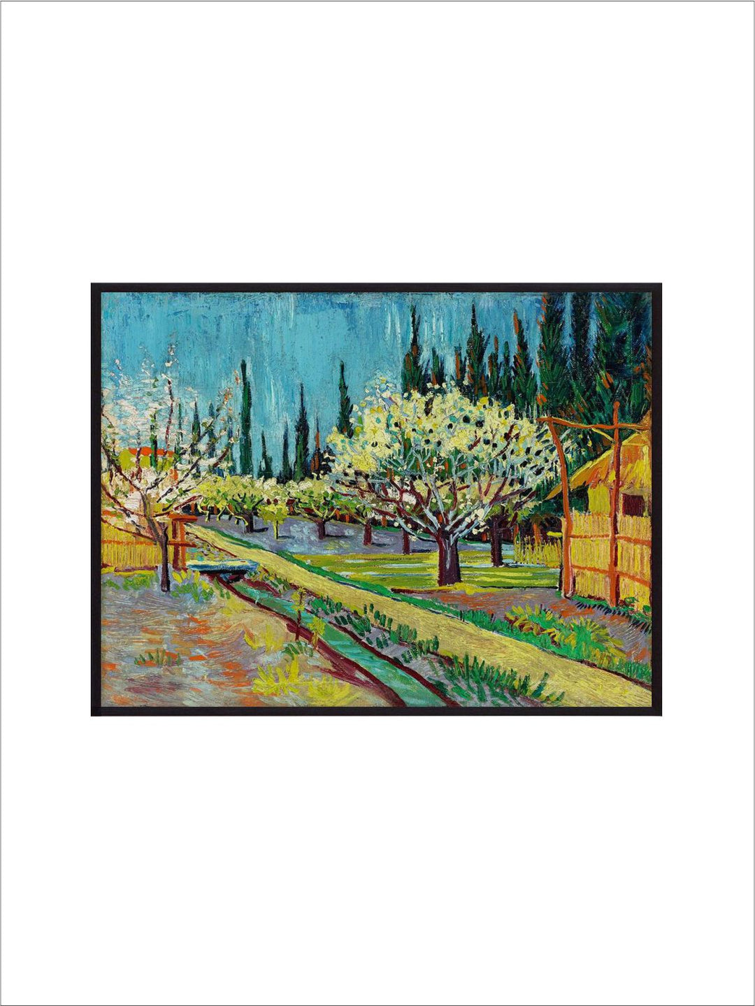 " Orchard Bordered by Cypresses By Van Gogh Framed Wall Art''
