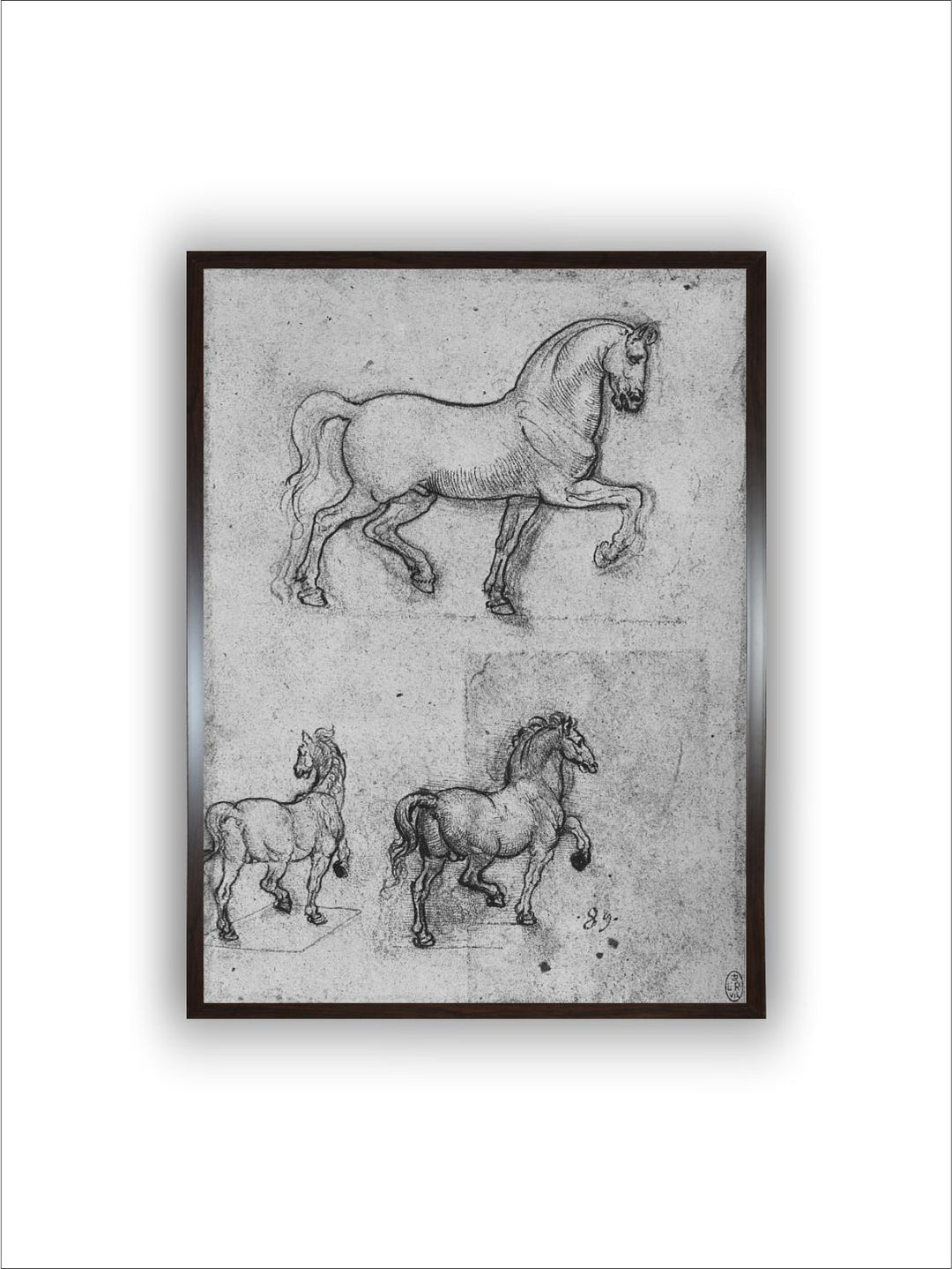 "Grey & Black Birds & Animals Canvas Painting Wall Art''
