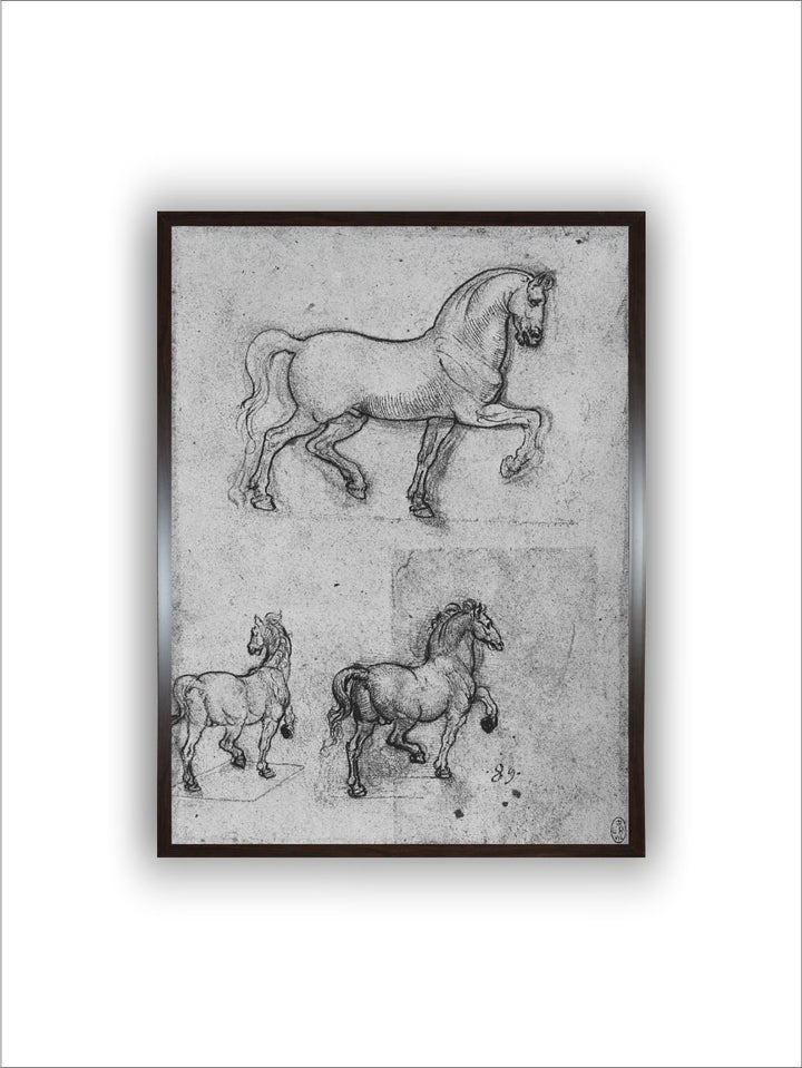 "Grey & Black Birds & Animals Canvas Painting Wall Art''