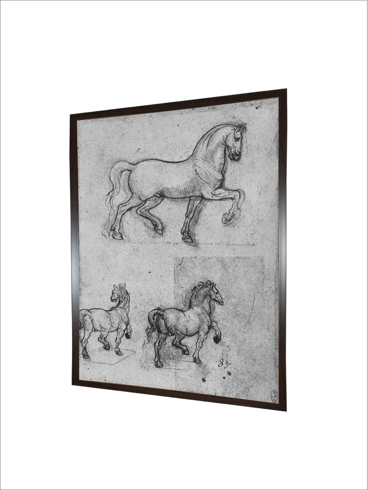 "Grey & Black Birds & Animals Canvas Painting Wall Art''