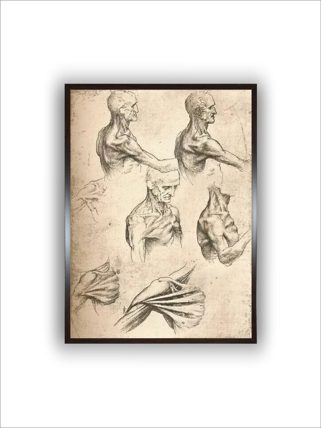 "Beige & Black Wooden Anatomical Drawing Painting Wall Art''