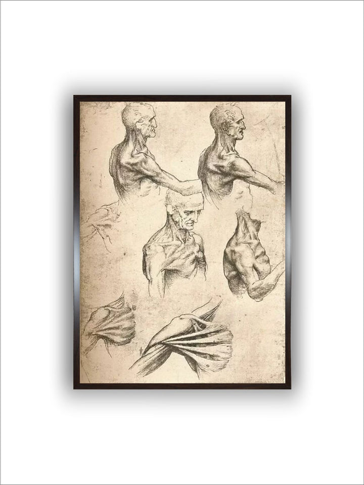 "Beige & Black Wooden Anatomical Drawing Painting Wall Art''