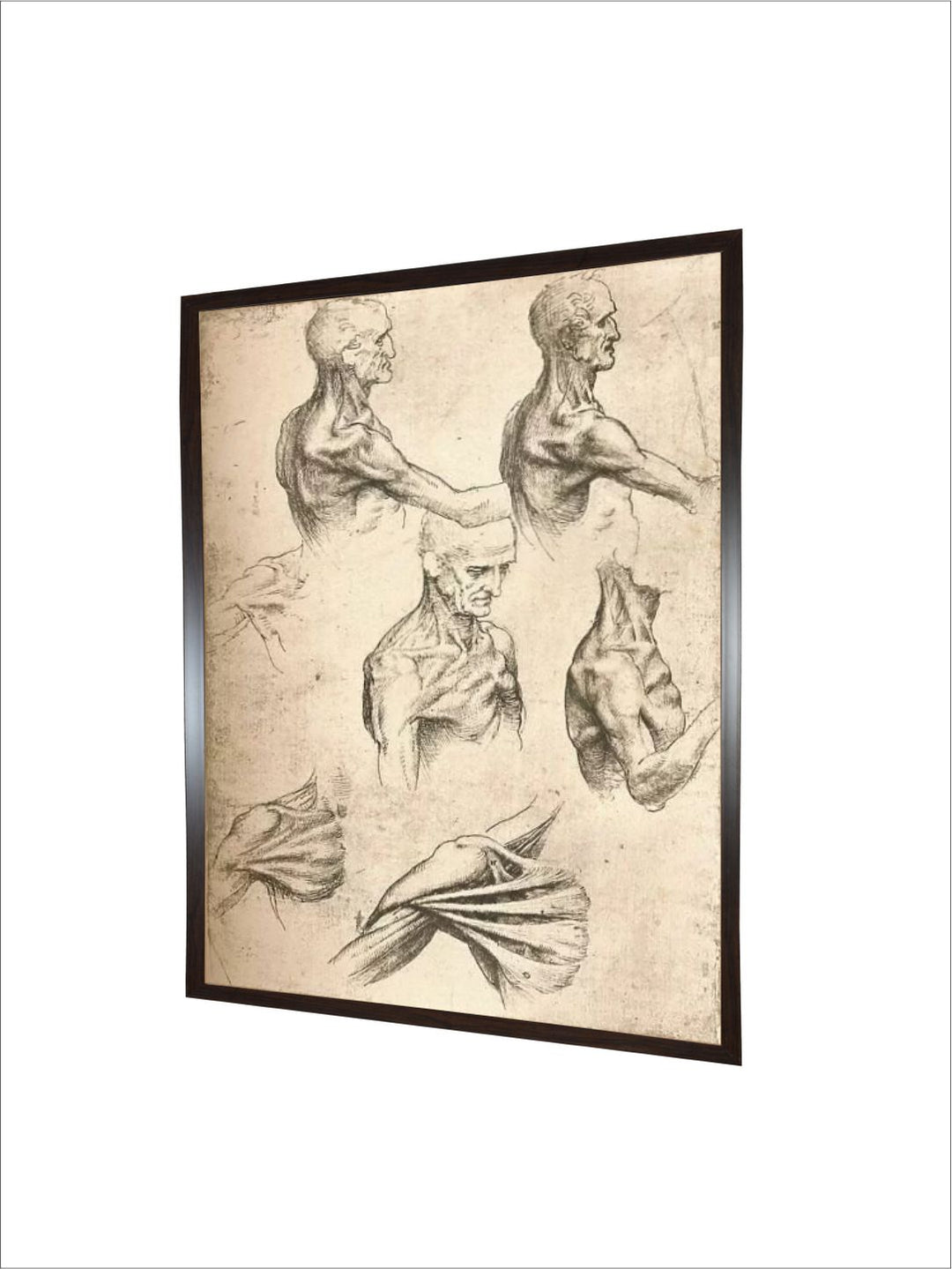 "Beige & Black Wooden Anatomical Drawing Painting Wall Art''