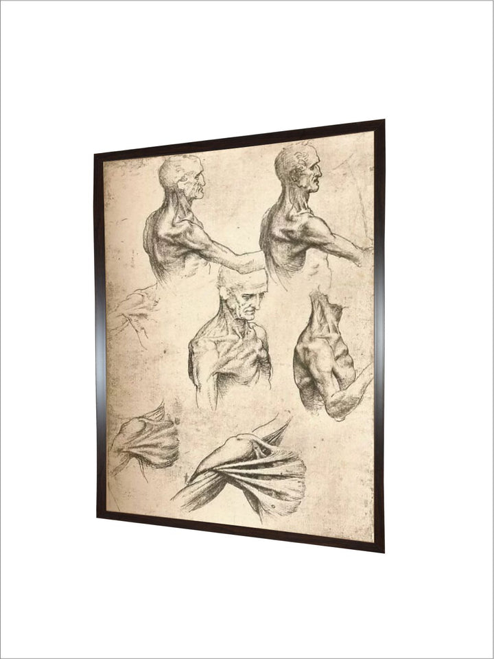 "Beige & Black Wooden Anatomical Drawing Painting Wall Art''