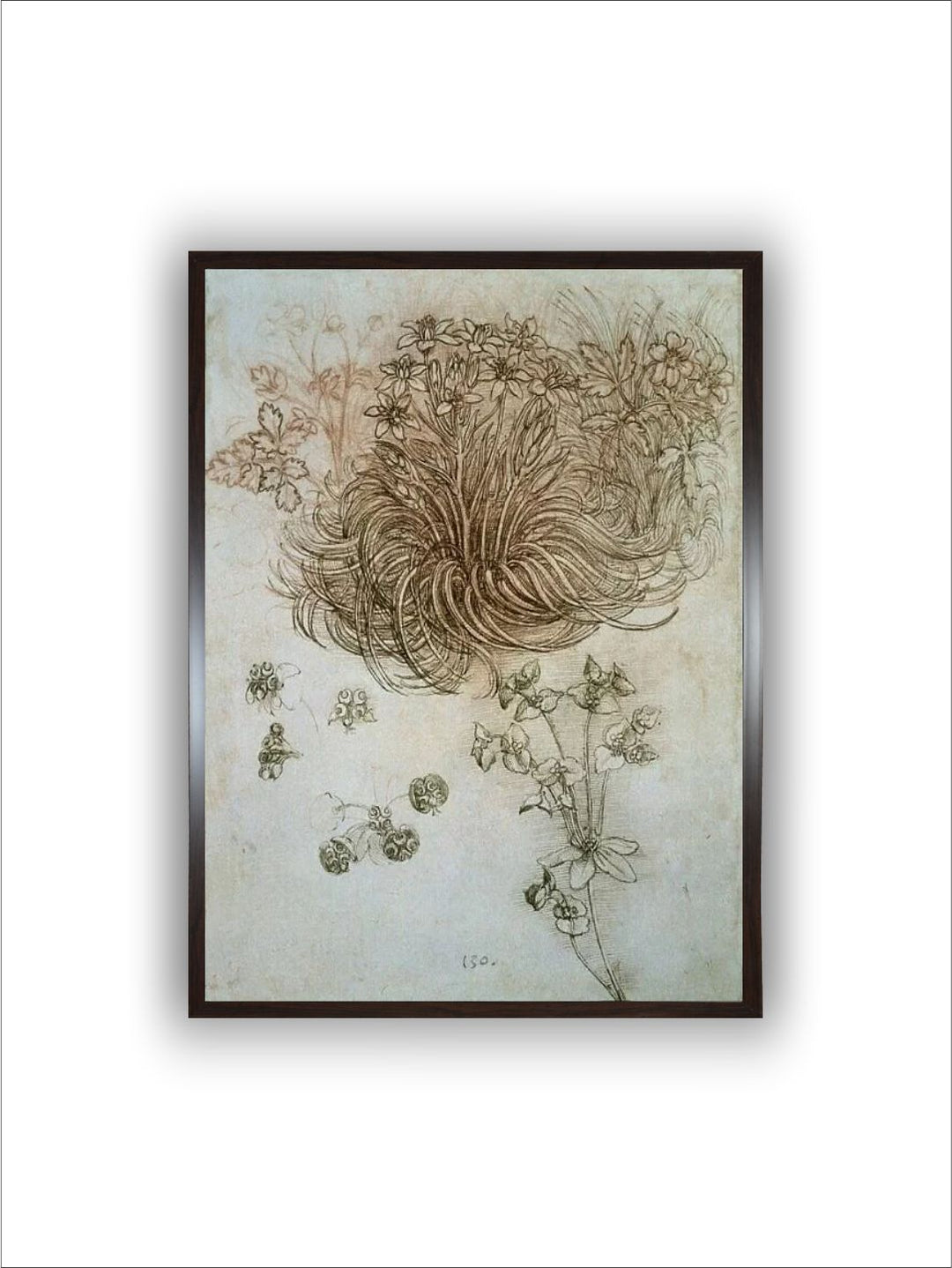 "Grey & Brown Wooden Star Of Bethlehem Anemone & Sun Spurge Painting Wall Art''