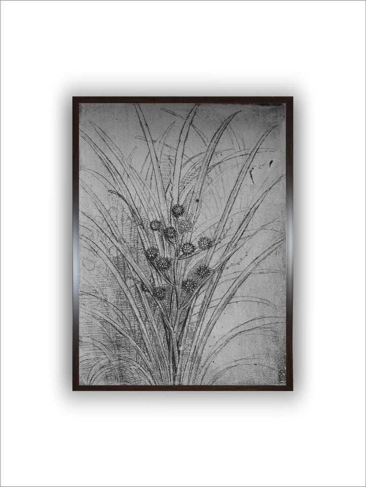 "Grey & Black  Flowering Rushes Canvas Painting Wall Art''