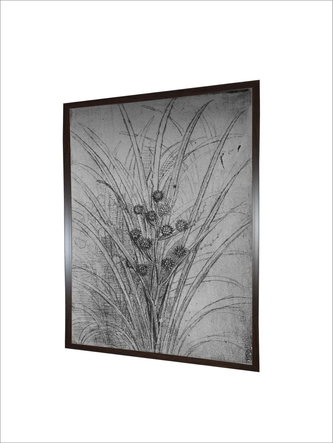"Grey & Black  Flowering Rushes Canvas Painting Wall Art''