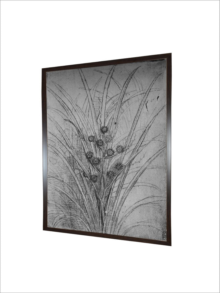 "Grey & Black  Flowering Rushes Canvas Painting Wall Art''