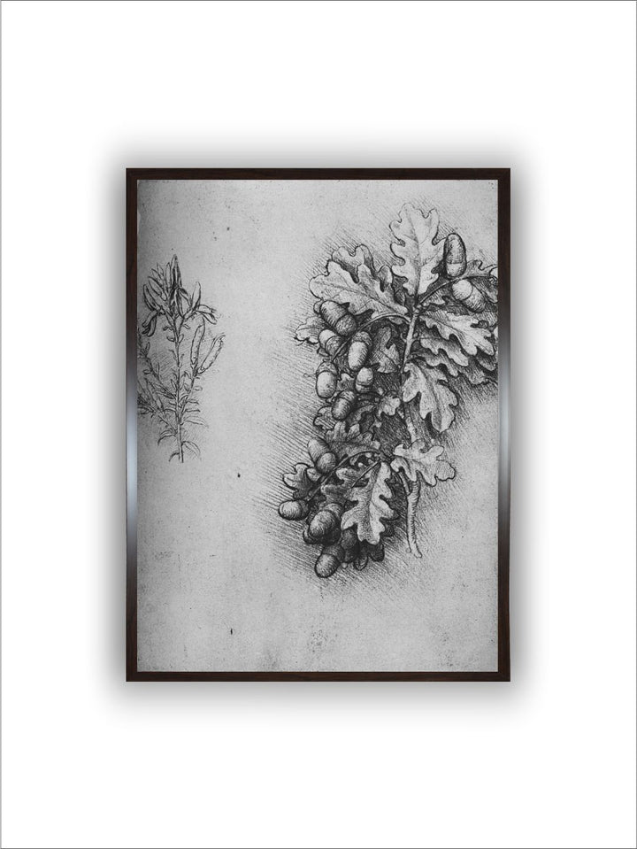 "Grey Oak-Leaves With Acorns & Dyer's Weed Canvas Painting Wall Art''