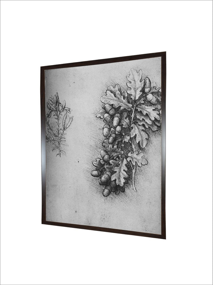 "Grey Oak-Leaves With Acorns & Dyer's Weed Canvas Painting Wall Art''