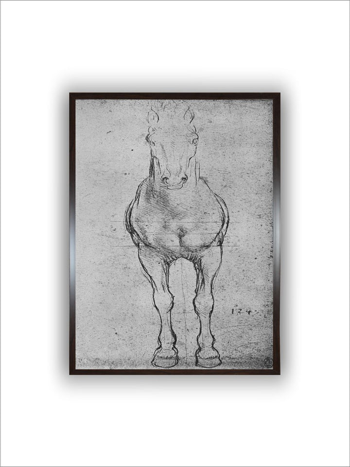 "A Horse Seen From The Front' Painting Wall Art''