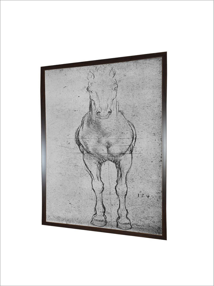 "A Horse Seen From The Front' Painting Wall Art''