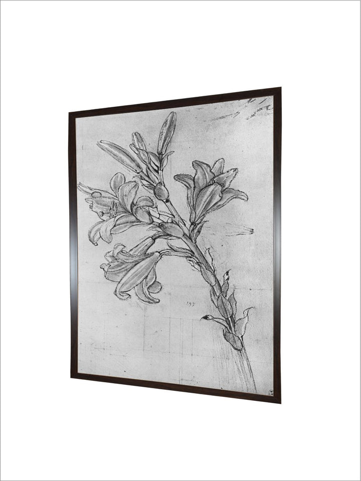 "Grey & Black A Lily Painting Wooden Framed Wall Art''