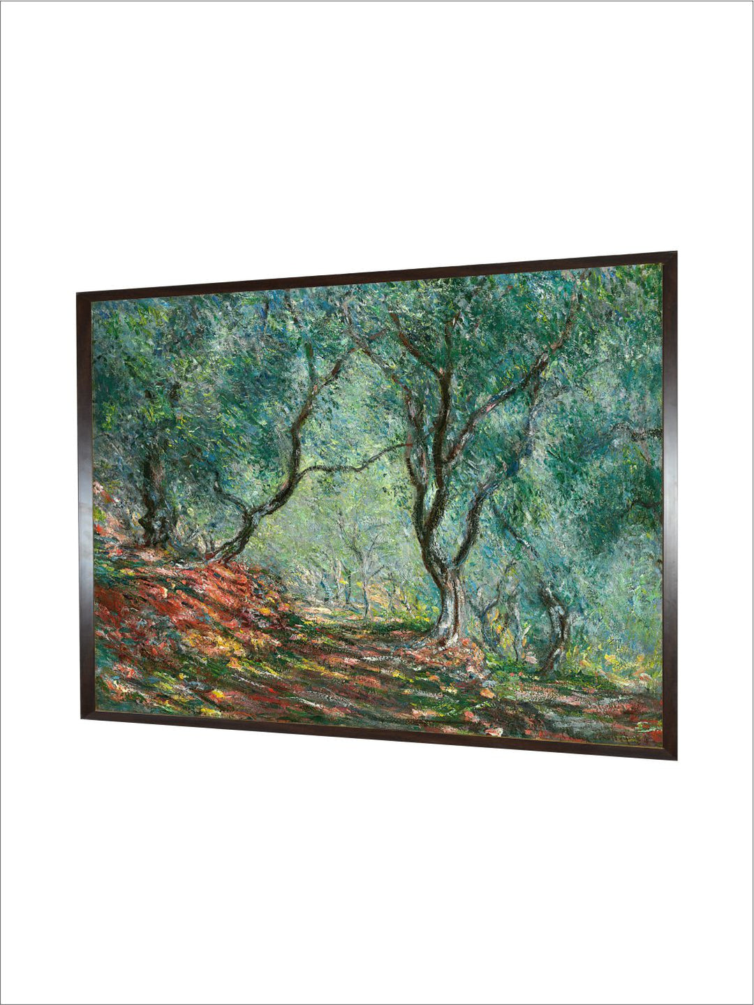 "Green Olive Grove in the Moreno Garden Wooded Framed Wall Art''