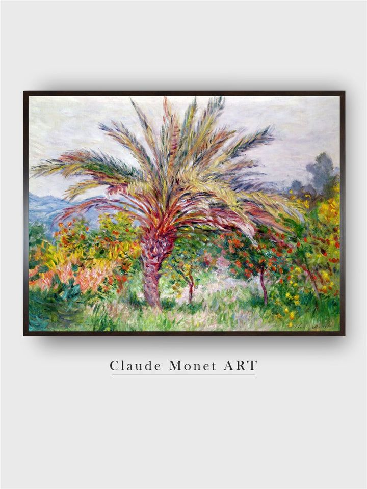 "Green  Yellow Palm Tree at Bordighera  Canvas Wall Art''