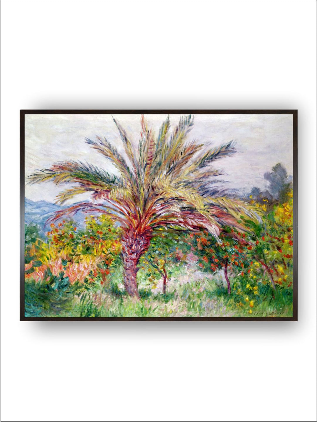 "Green  Yellow Palm Tree at Bordighera  Canvas Wall Art''