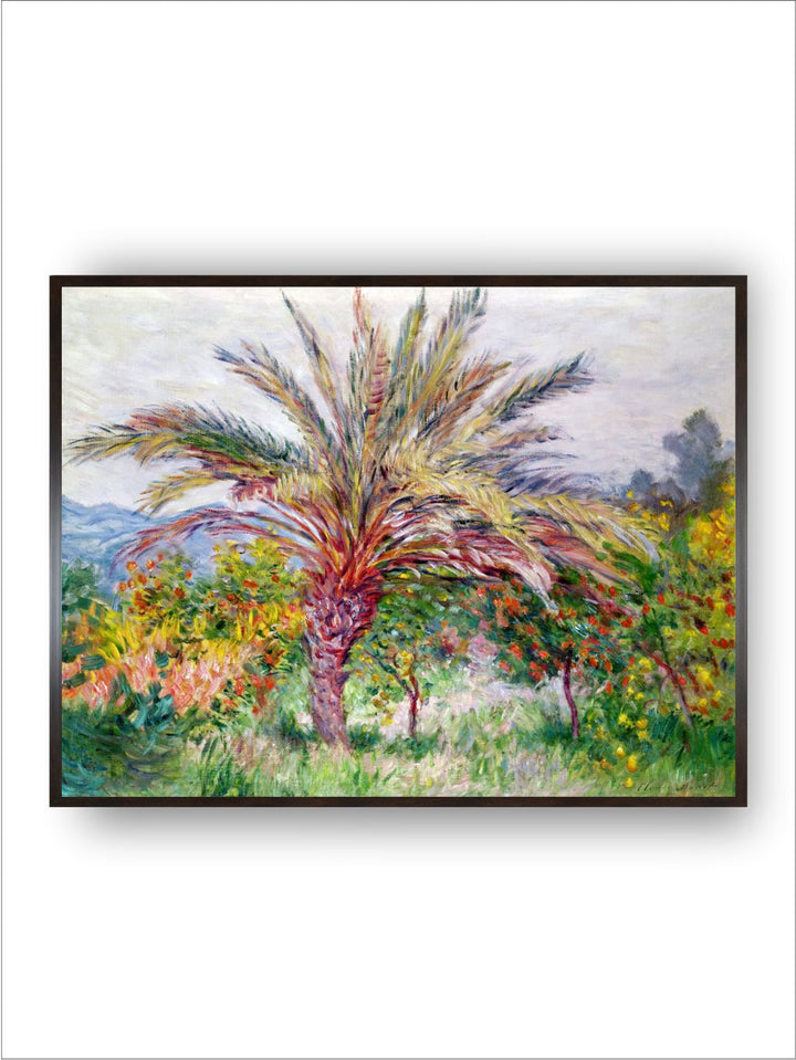 "Green  Yellow Palm Tree at Bordighera  Canvas Wall Art''