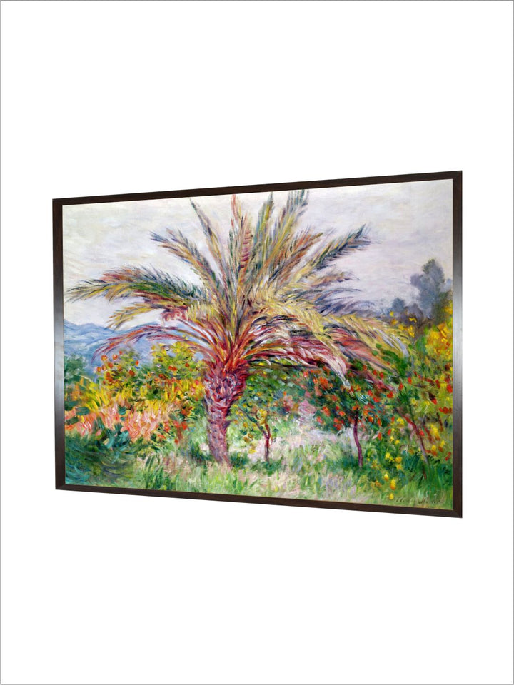 "Green  Yellow Palm Tree at Bordighera  Canvas Wall Art''