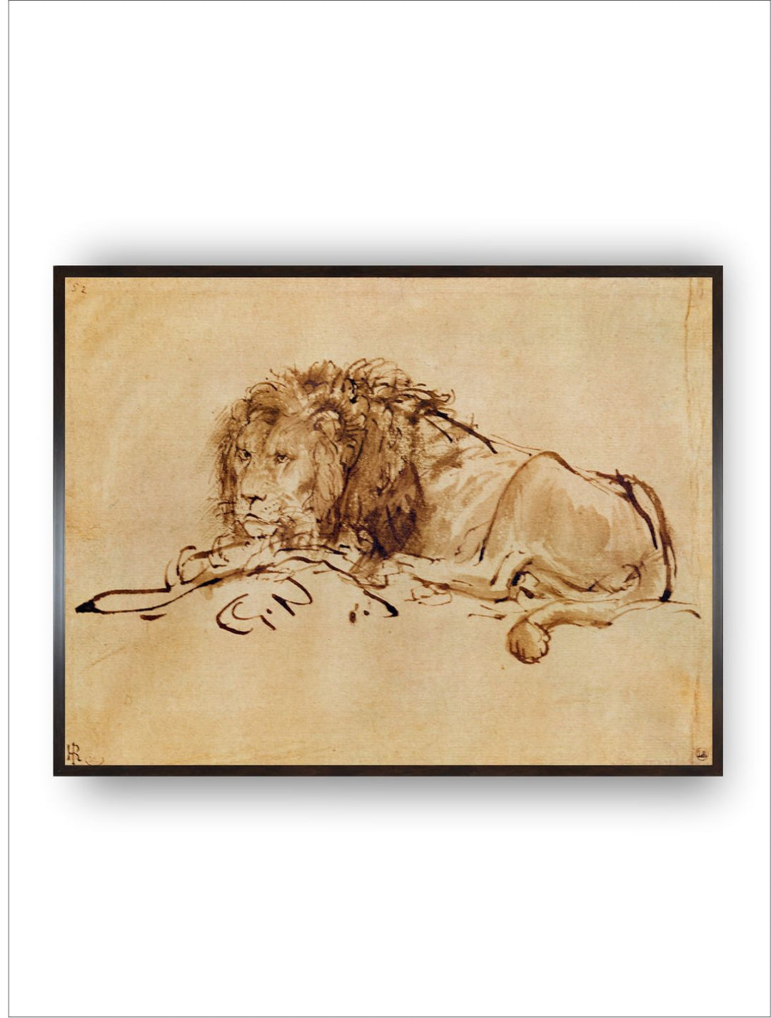 "Beige  Brown Lion Resting Turned to the Left Canvas Painting Wall Art''