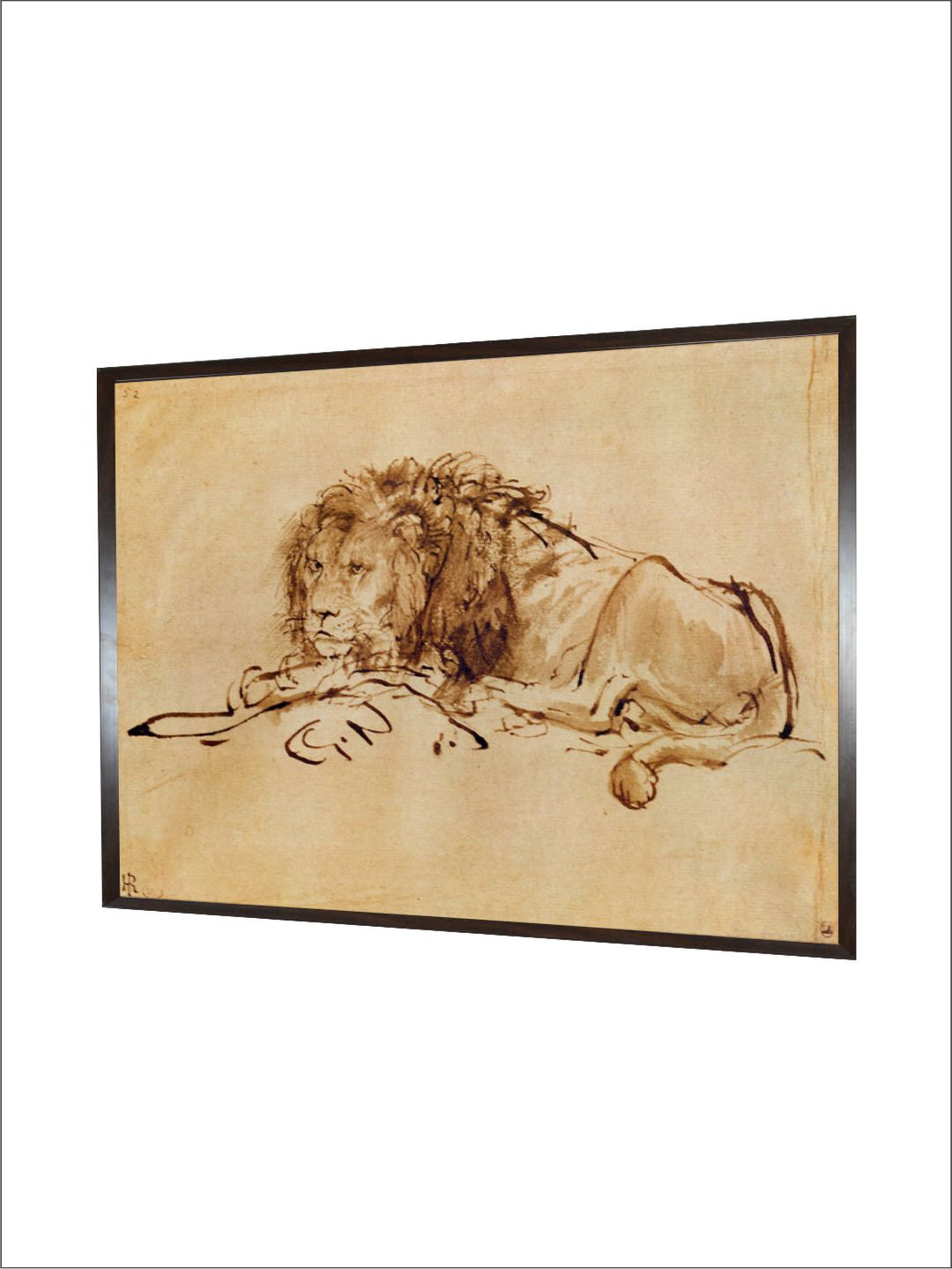"Beige  Brown Lion Resting Turned to the Left Canvas Painting Wall Art''