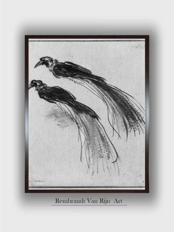 "Black  White Birds by Rembrandt Van Rijn Wooden Painting Wall Art''