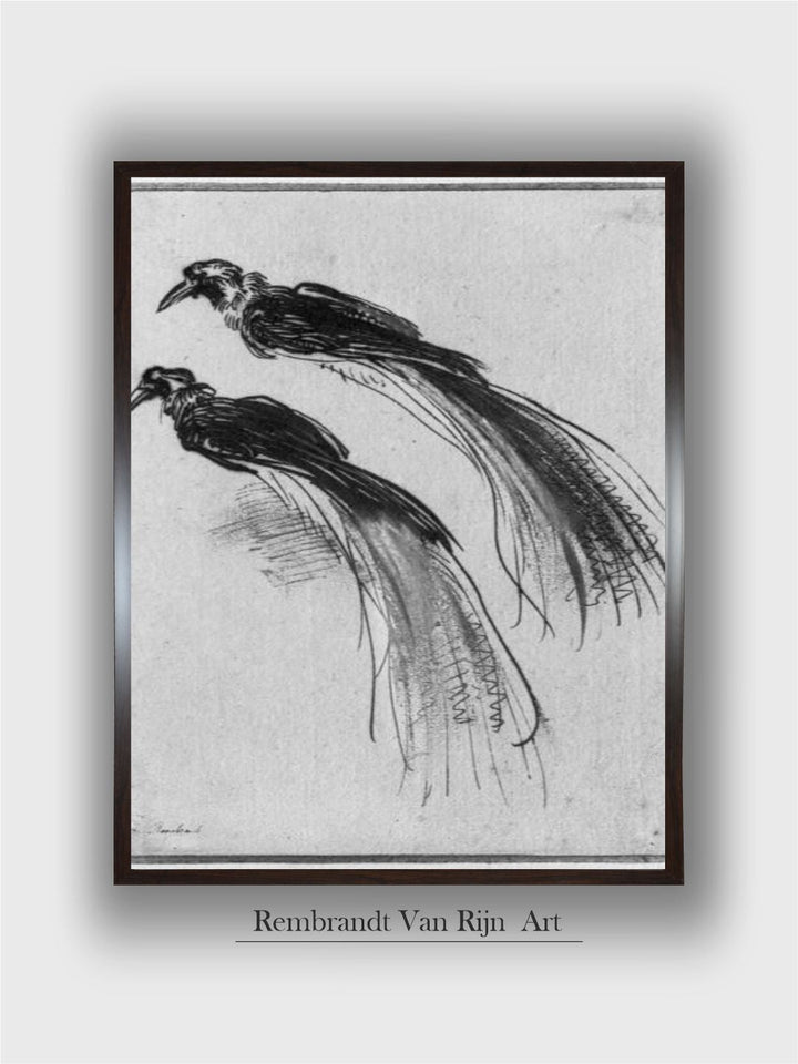 Birds by Rembrandt Van Rijn