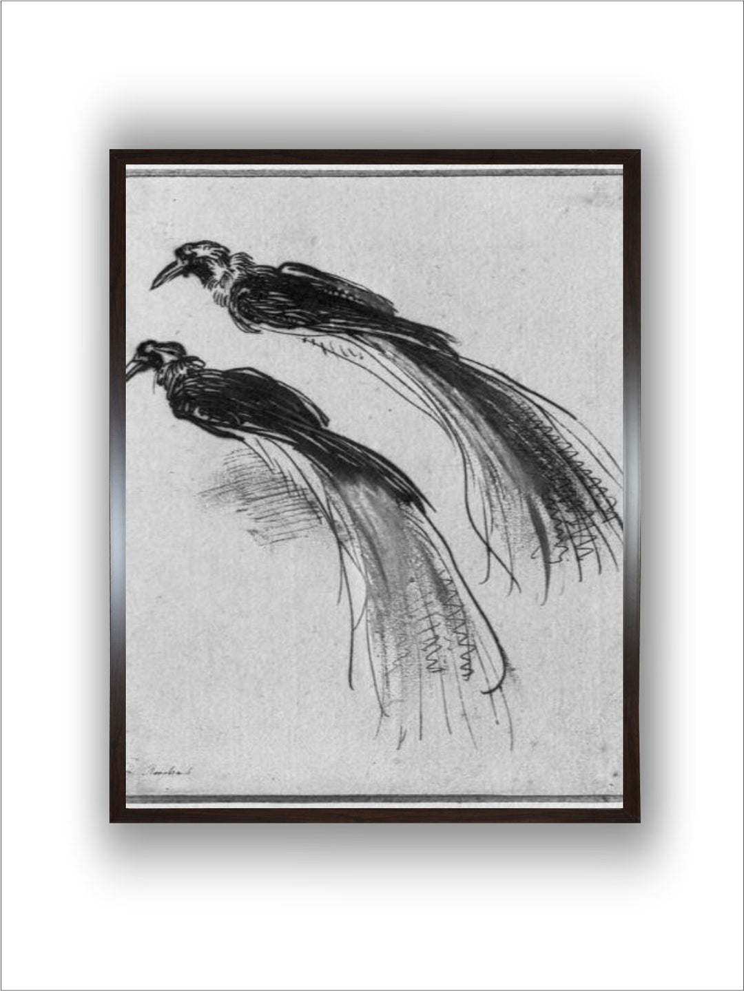 "Black  White Birds by Rembrandt Van Rijn Wooden Painting Wall Art''
