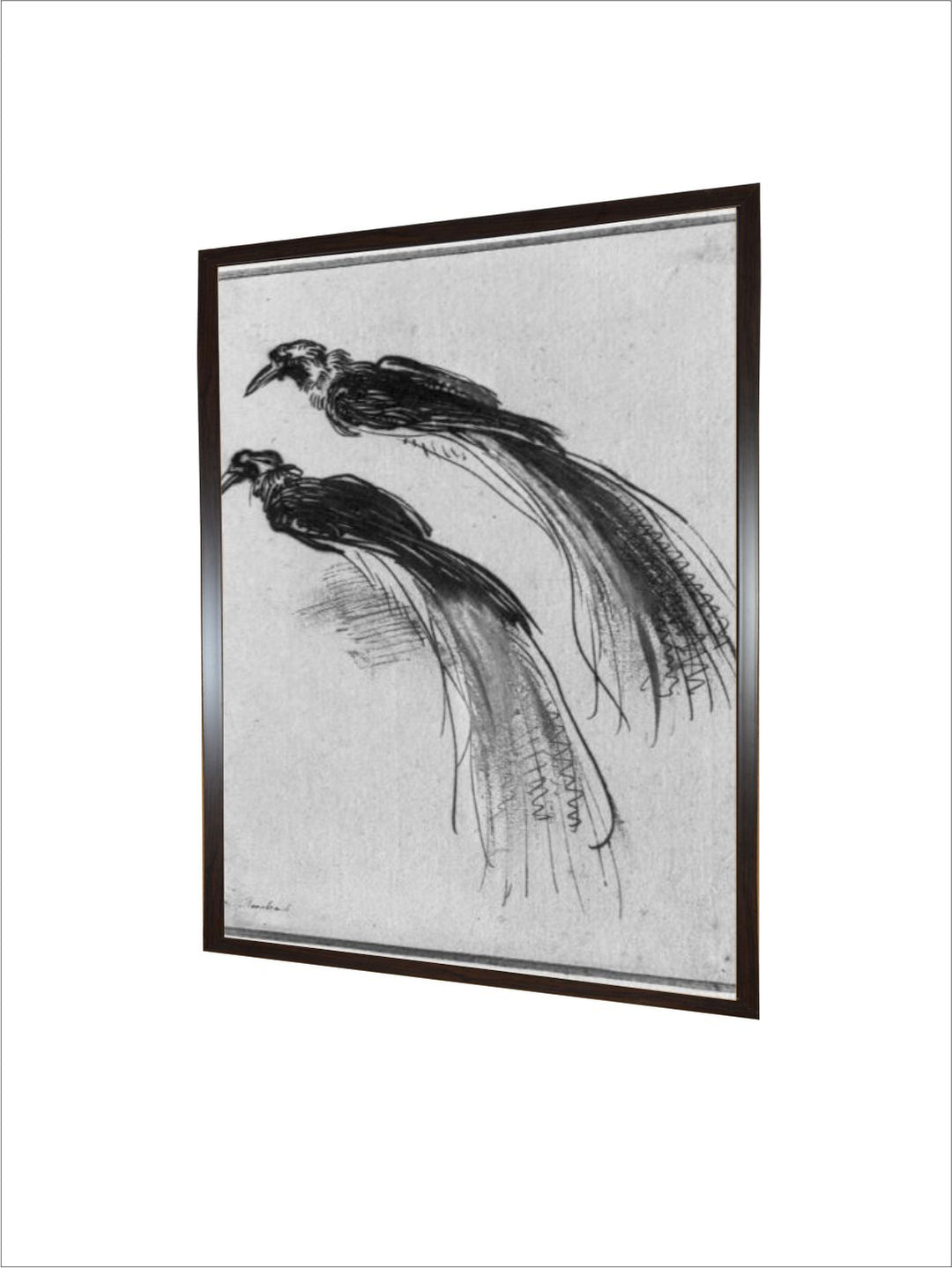 "Black  White Birds by Rembrandt Van Rijn Wooden Painting Wall Art''