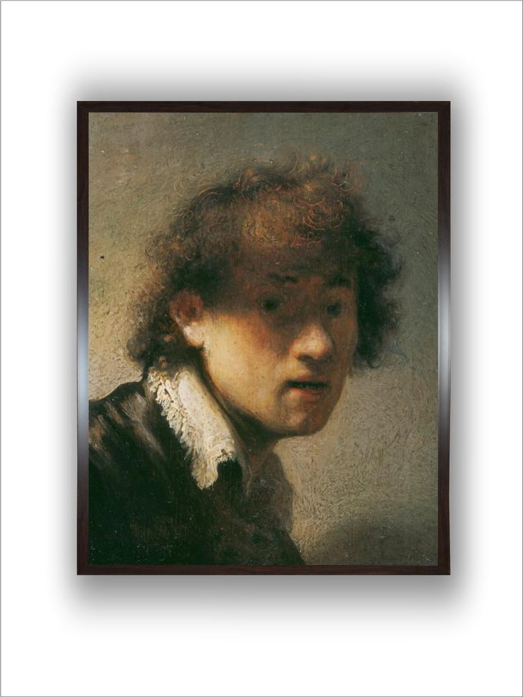Self Portrait, 1629 by Rembrandt Van Rijn
