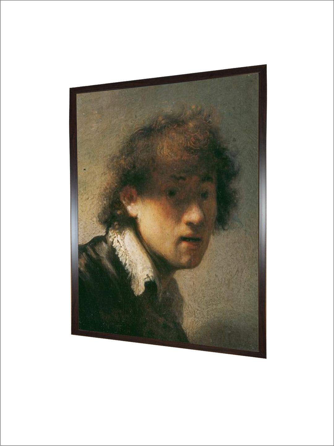 Self Portrait, 1629 by Rembrandt Van Rijn