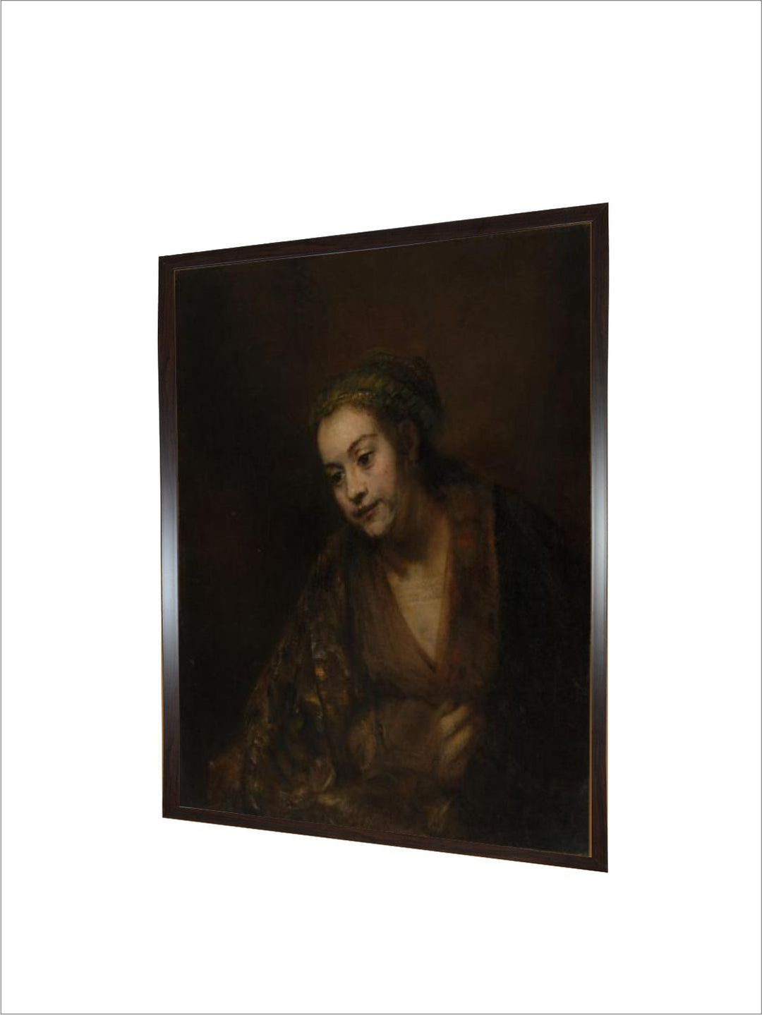 "Rembrandt Van Rijn Wall Art''