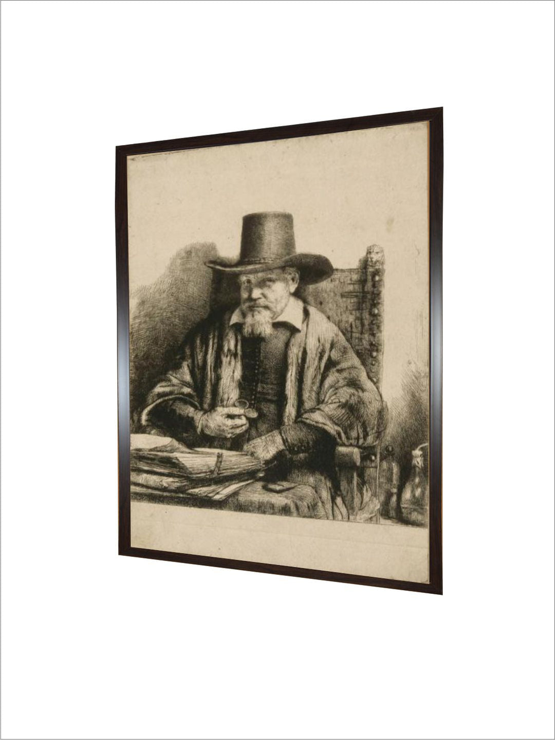 Portrait du docteur Arnold Tholinx by Rembrandt Van Rijn