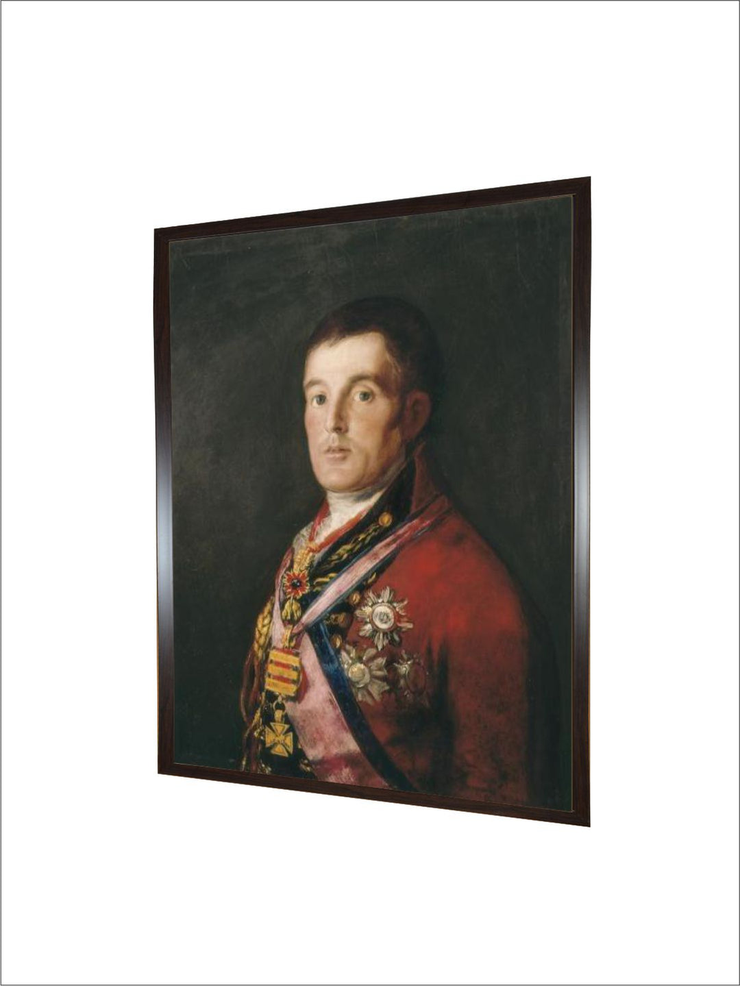 The duke of Wellington by Francisco de Goya