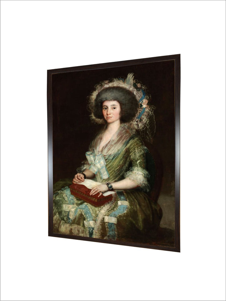 Portrait of dona Manuela Camas, the Wife of Cean Bermudez  by Francisco de Goya