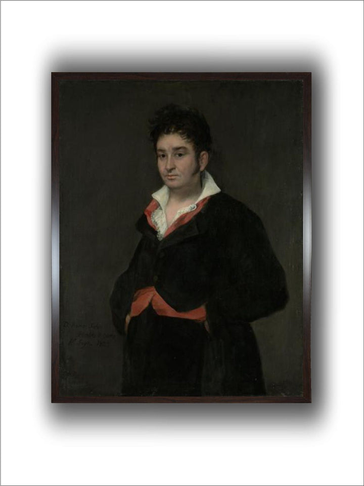 Portrait of don Ramon Satue by Francisco de Goya