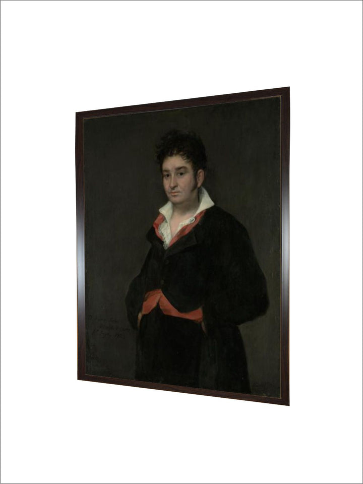 Portrait of don Ramon Satue by Francisco de Goya