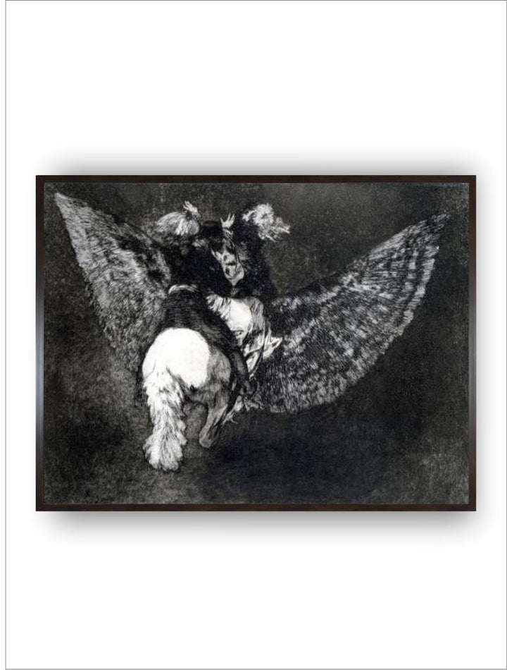 Winged Nonsense, 1819-1823 by Francisco de Goya