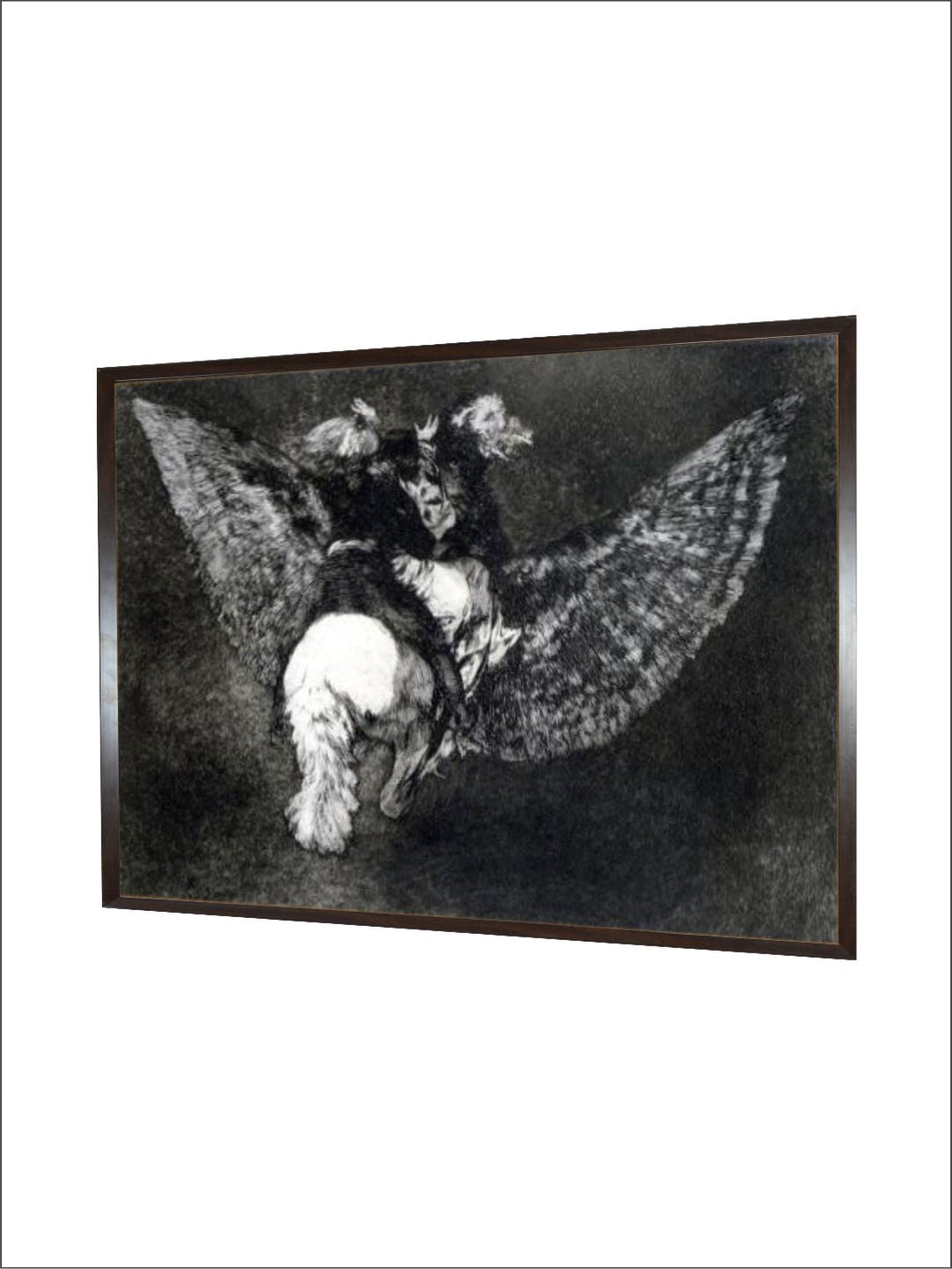 Winged Nonsense, 1819-1823 by Francisco de Goya