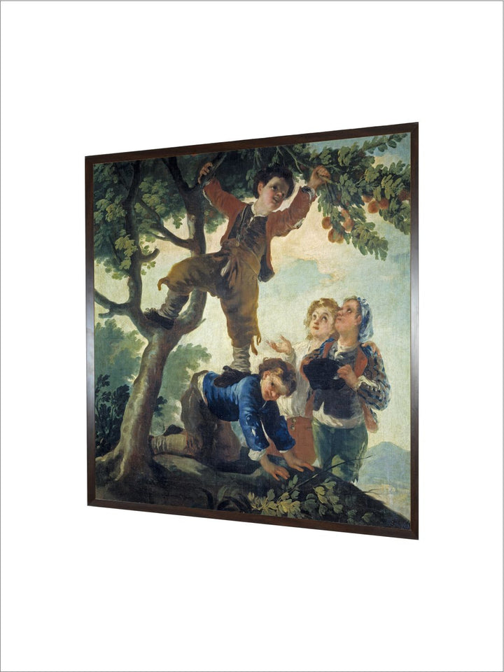 Boys Picking Fruit, 1779-80 by Francisco de Goya
