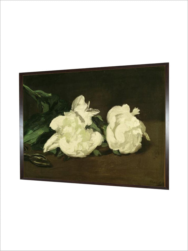 Branch of White Peonies and Secateurs, 1864 by Edouard Manet