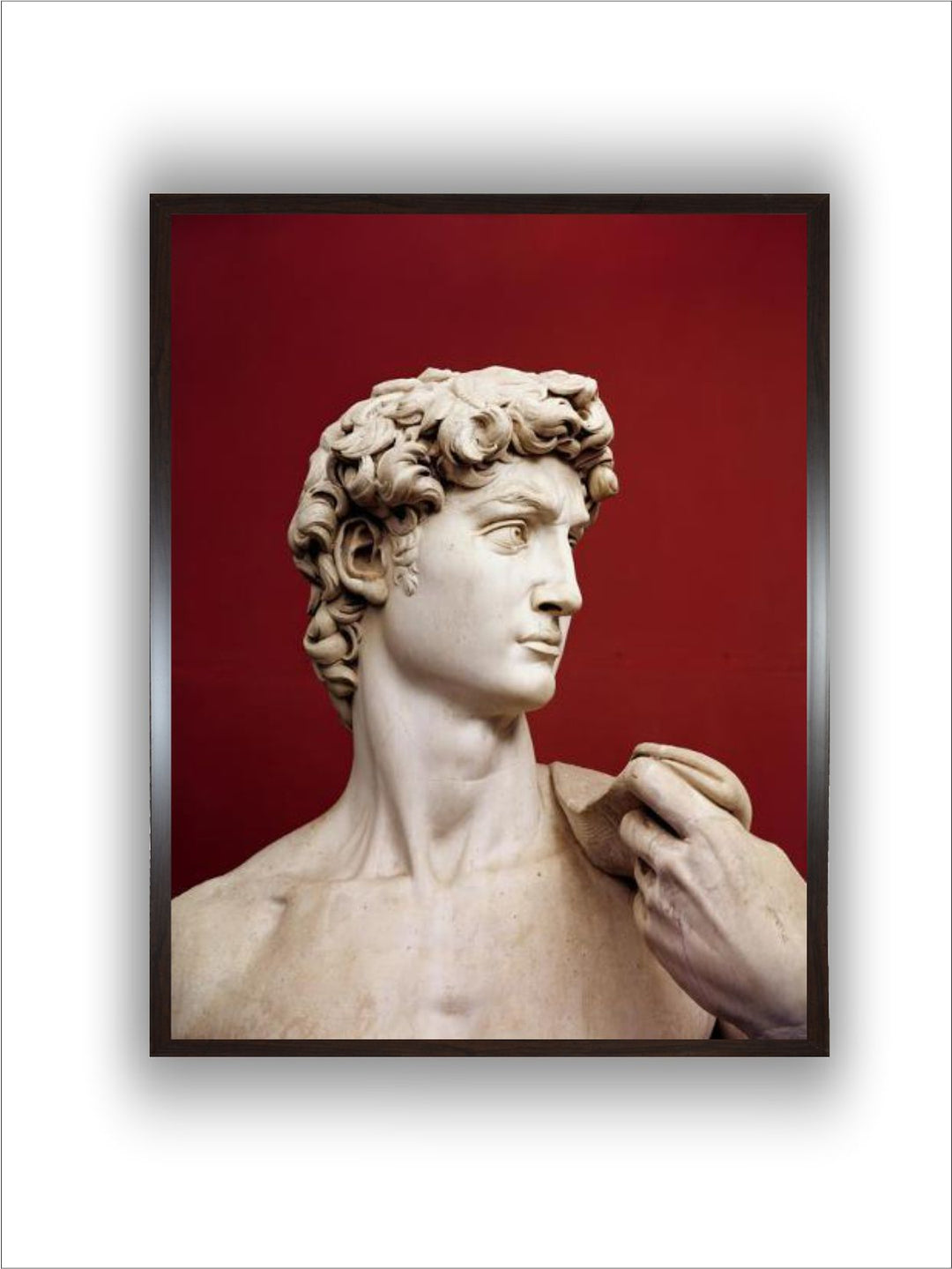 david, 1501-04 by Michelangelo Buonarroti