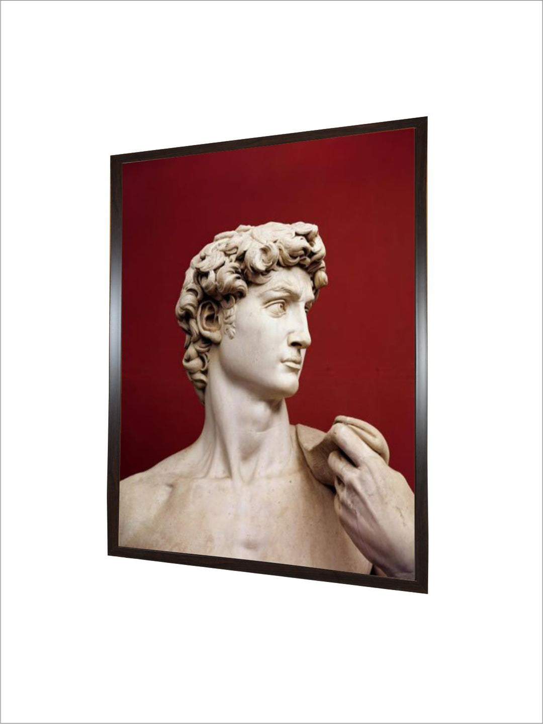 david, 1501-04 by Michelangelo Buonarroti