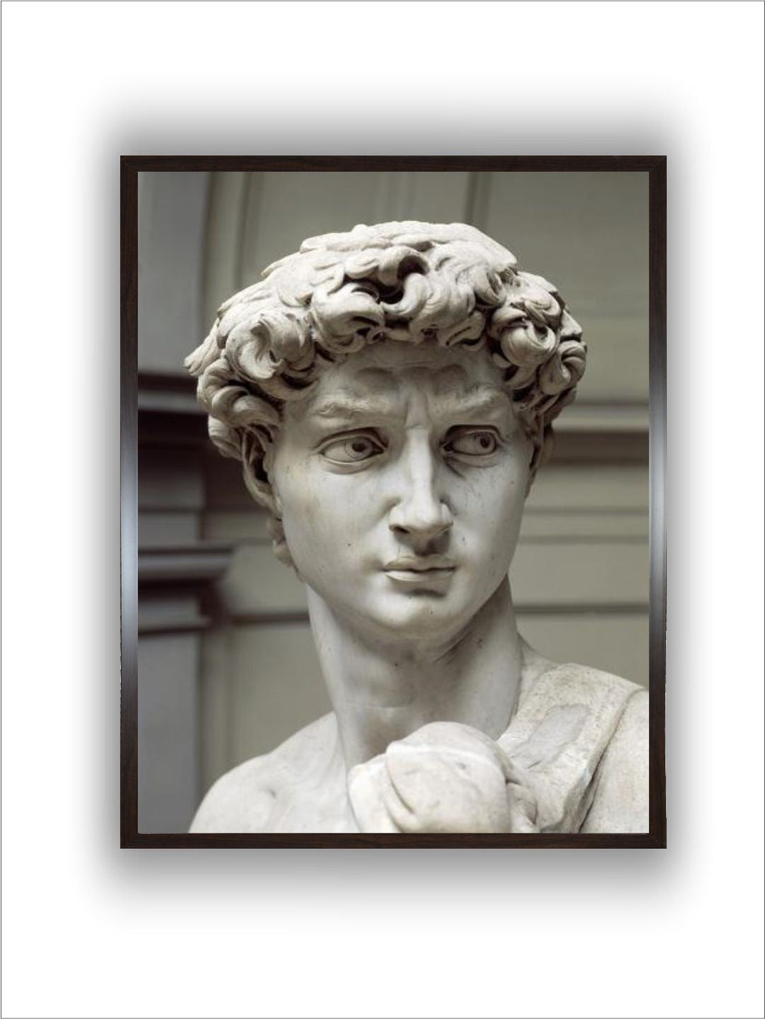 david by Michelangelo Buonarroti