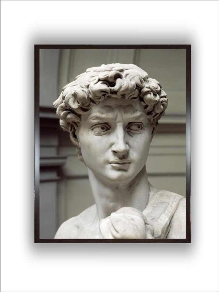 david by Michelangelo Buonarroti