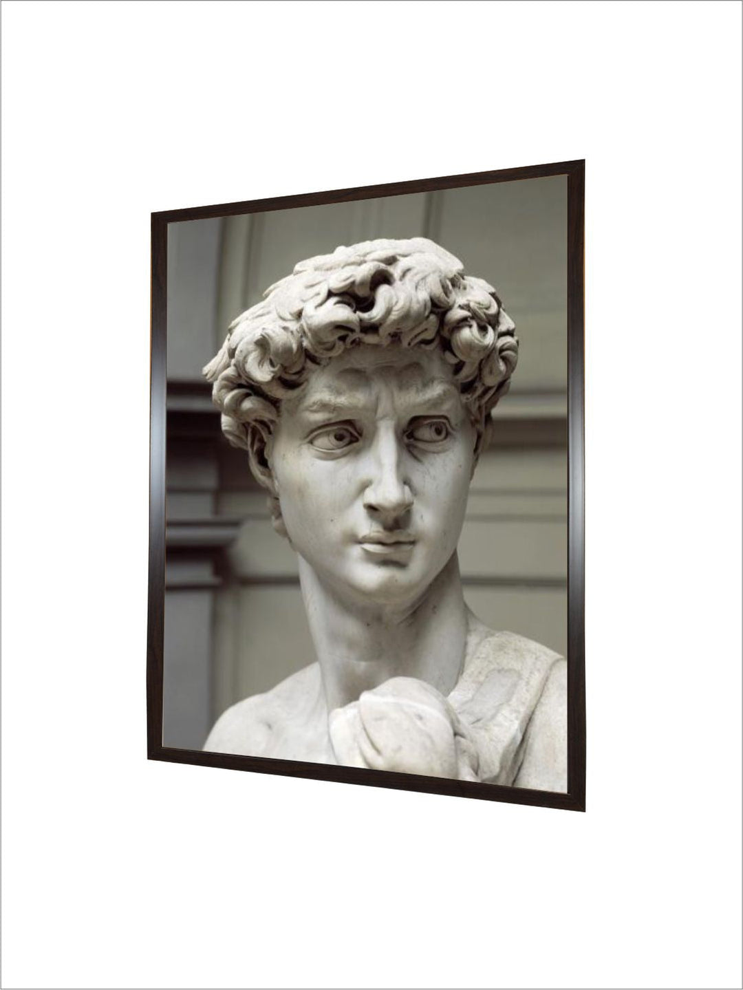 david by Michelangelo Buonarroti