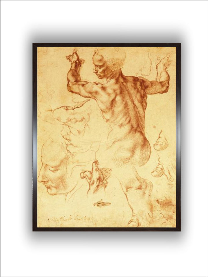 Anatomy Sketches (Libyan Sibyl) by Michelangelo Buonarroti