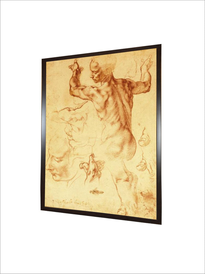 Anatomy Sketches (Libyan Sibyl) by Michelangelo Buonarroti