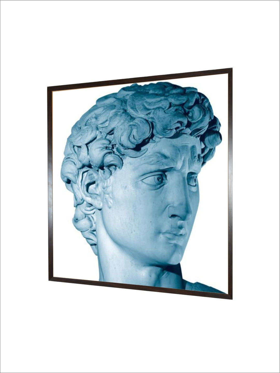 david by Michelangelo Buonarroti